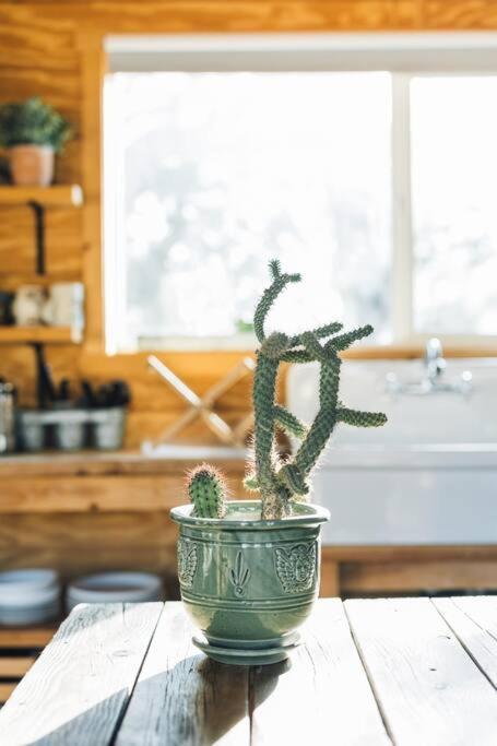 Joshua Tree Hidden Tower * Views - Landmark Yucca Valley Esterno foto